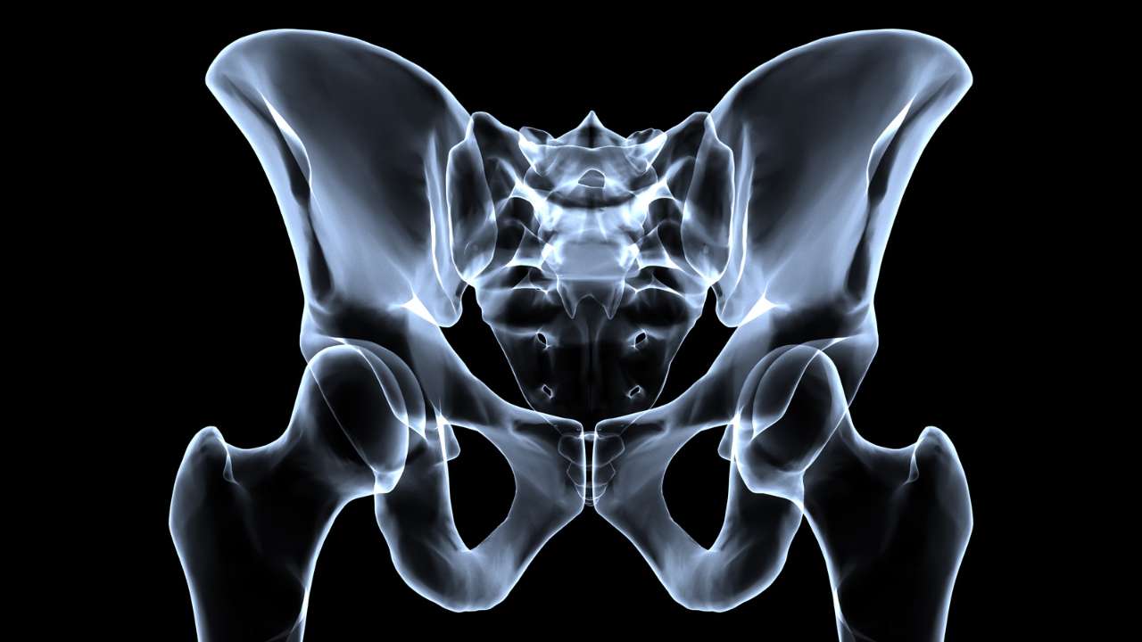 Pelvis & Acetabulum Trauma and Fracture Fixation